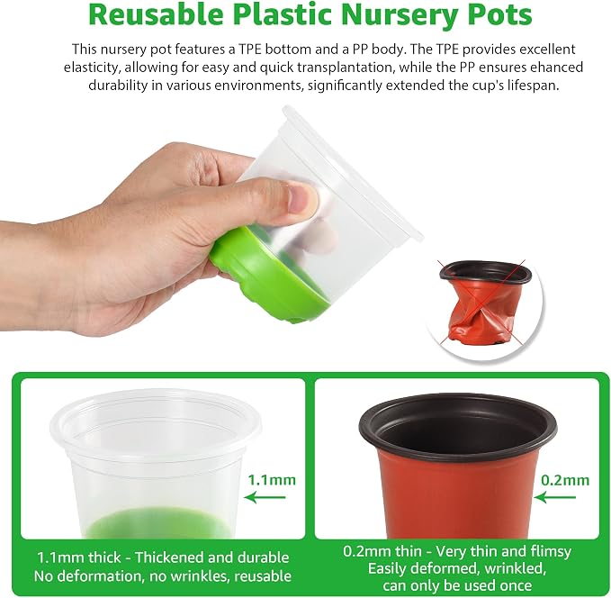 MIXC Thickened Clear Nursery Pots - Image 4