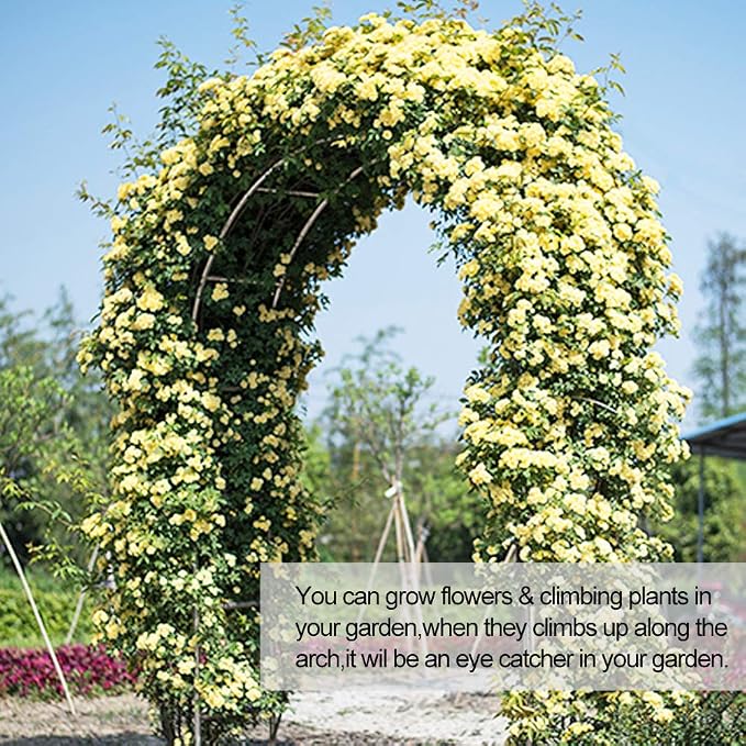 Metal Pergola Arbor, Wedding Arch 4.6 Feet Wide x 7.9 Feet High, Assemble - Image 7