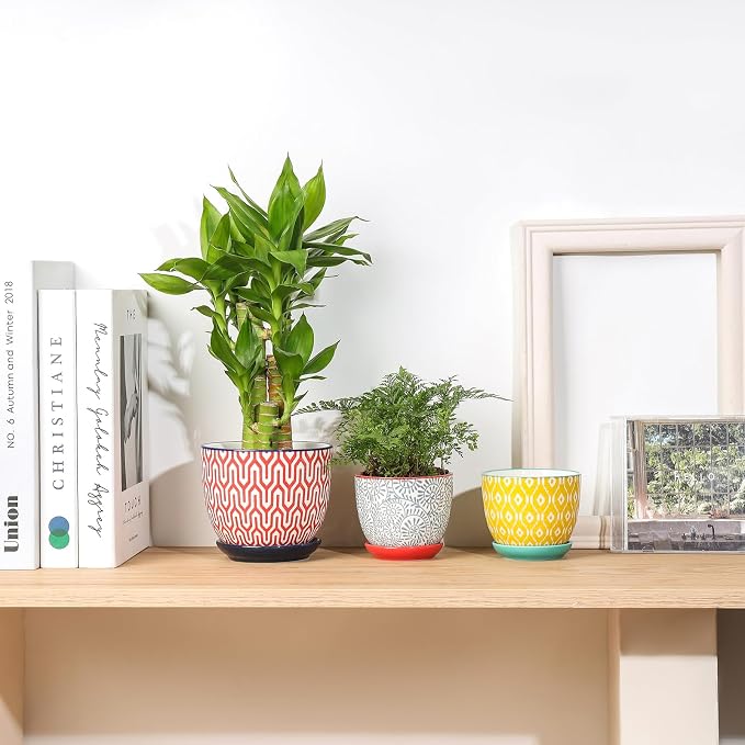 Selamica Ceramic Succulent Pots - Image 6