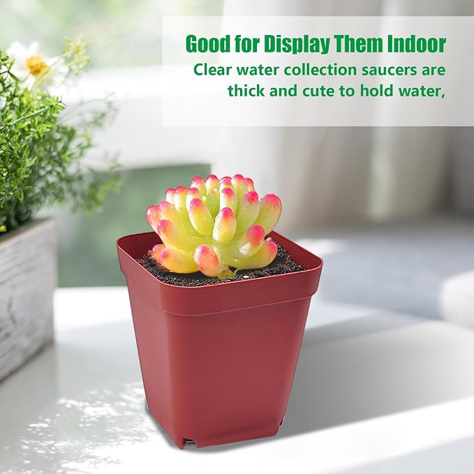 Square Plastic Nursery Pot 3" 120 Pcs Deep Succulent Pots Small Flower Planter - Image 7