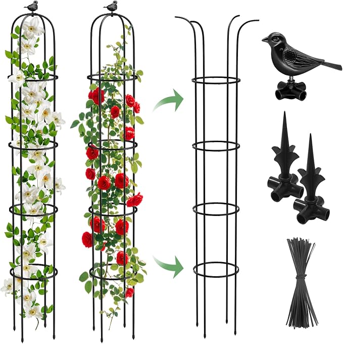 6.2ft Garden Obelisk Trellis for Climbing Plants Rustproof Metal Pipe by MYMULIKEHOME