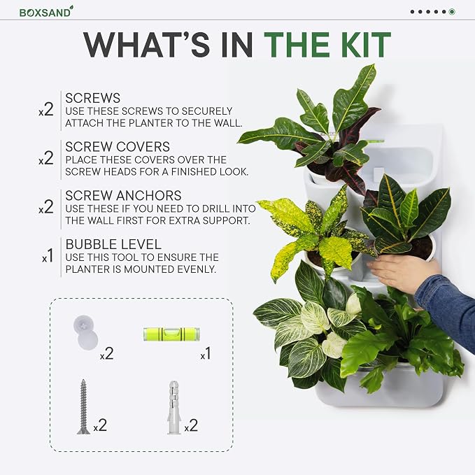 BOXSAND-12 Vertical Wall Planter - Image 10