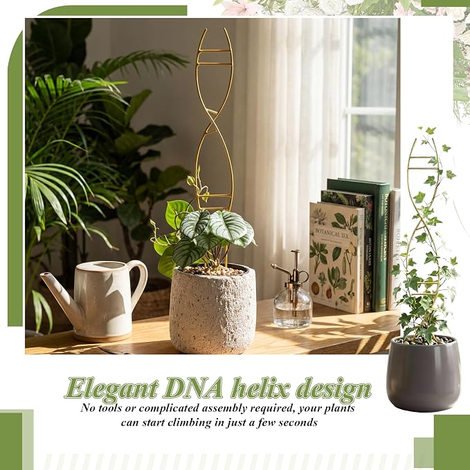 3 Pcs 15.75 Inch Indoor Plant Trellis - Image 7
