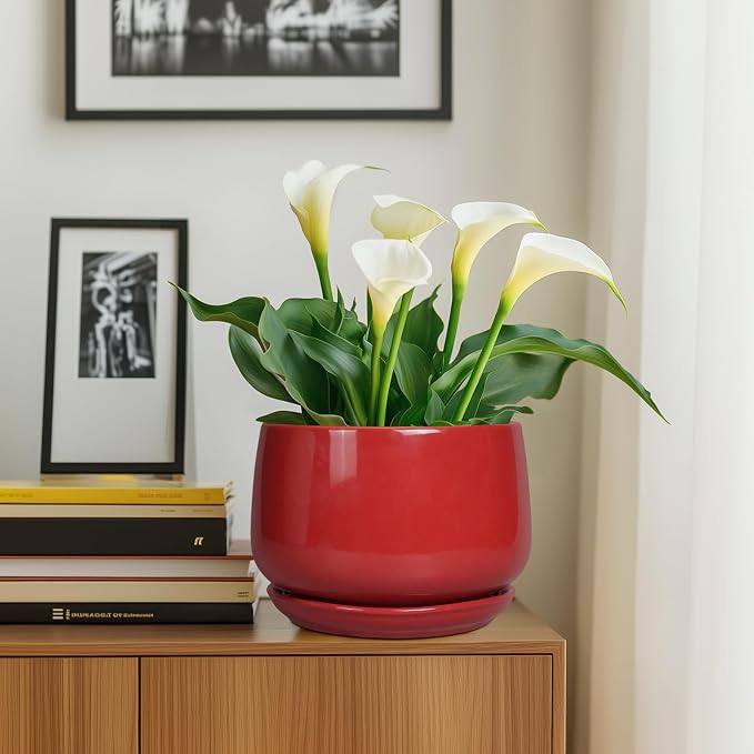 G EPGardening Ceramic Plant Pots - Image 8