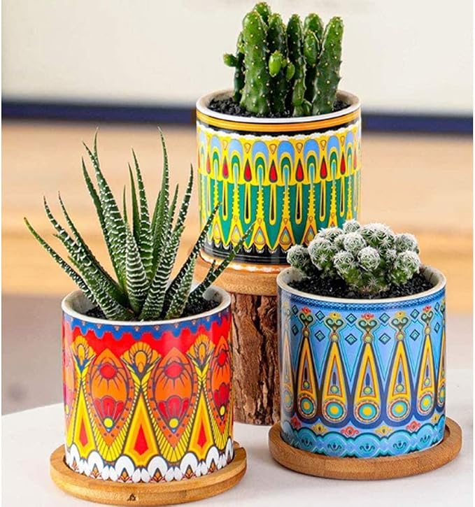 Mandala Succulent Pot with Drainage Hole & Bamboo Coaster, Small Plant Pots - Image 4