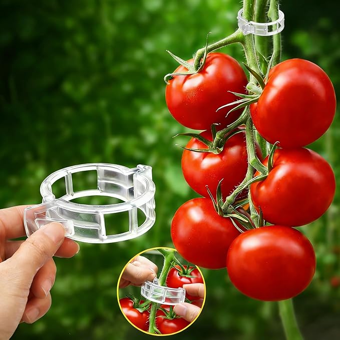 FEED GARDEN 120Pcs Plant Clips for Climbing Plants-Tomato, Grape & Vegetable by FEEDGARDEN