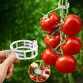 FEED GARDEN 120Pcs Plant Clips for Climbing Plants-Tomato, Grape & Vegetable by FEEDGARDEN