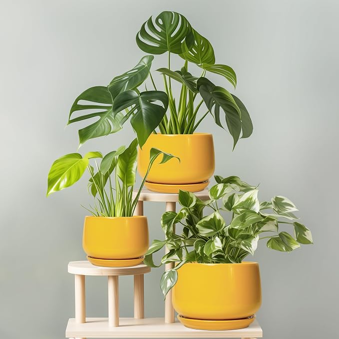 G EPGardening Ceramic Pots for Plants - Image 7
