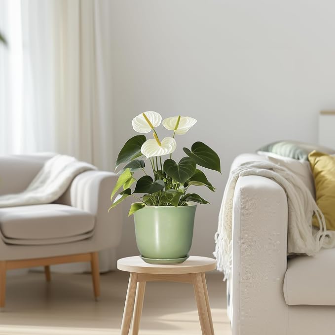 5.6 Inch Plant Pot - Image 7