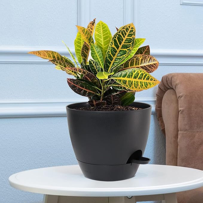 10/9/8 inch Self Watering Pots - Image 8