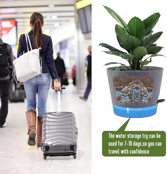Self Watering Pots for Indoor Plants, 12 inch Planters - Image 6