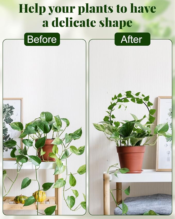 3 Pcs Unique Round Hoya Garden Trellis, Different Small Houseplant Trellis - Image 4