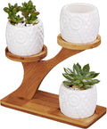 FLOWERPLUS Planter Pots Indoor, 3 Pack 3 Inch White Ceramic Decorative Small by Flowerplus