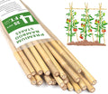Plant Stakes 4FT, Natural Bamboo Stakes, HAINANSTRY 25Pcs Sturdy Bamboos Garden by HAINANSTRY