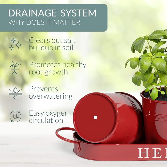 Barnyard Designs Indoor Herb Garden Planter Set - Image 7