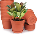 homenote Pots for Plants, 15 Pack 6 Inch Plastic Planters by HOMENOTE