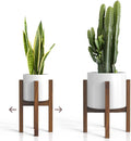 Mid Century Plant Stand by Sophia+Mills