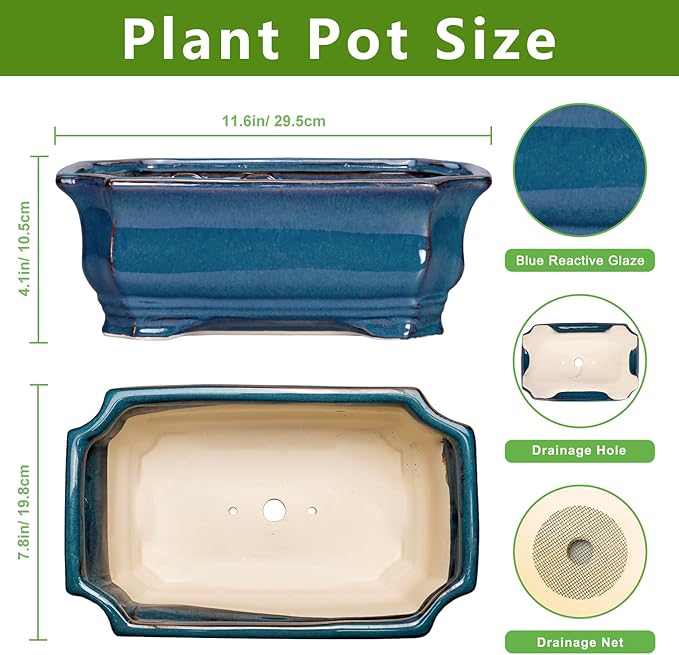 Bonsai Pots 11.6 Inch - Image 2