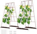 DOEWORKS Cucumber Trellis, 2 Pack, Plant Support by DOEWORKS