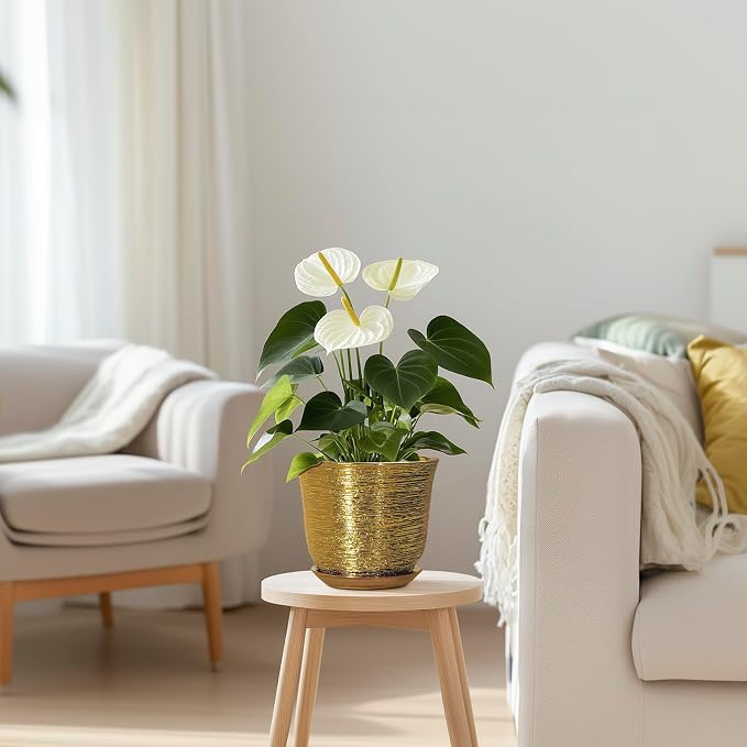 5.6 Inch Plant Pot - Image 7