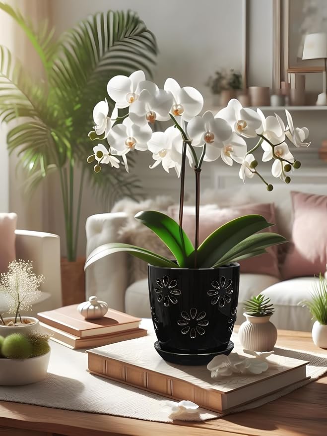Oairse 6 inch Orchid Pots with Holes, Indoor Plant - Image 7