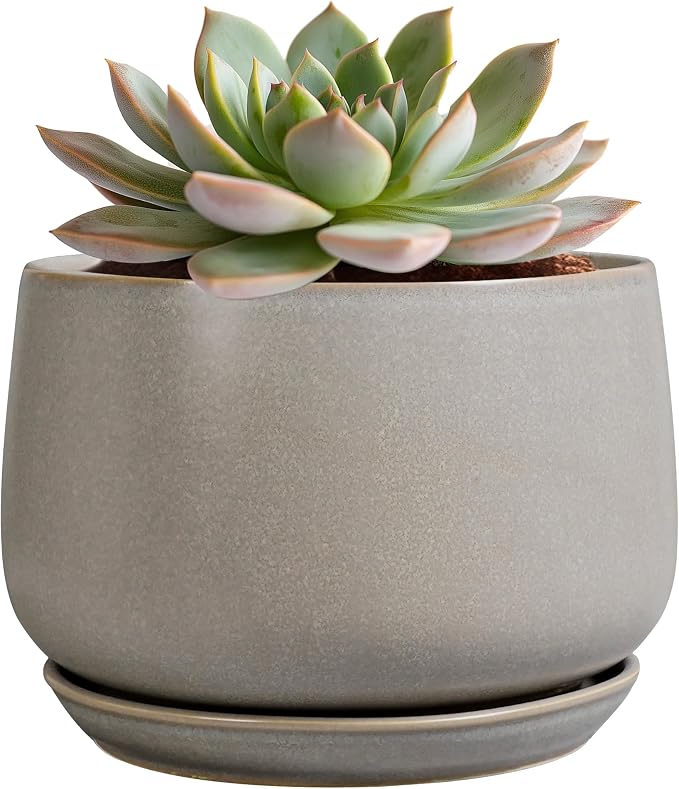 G EPGardening Ceramic Plant Pots by GEPGardening