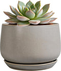 G EPGardening Ceramic Plant Pots by GEPGardening