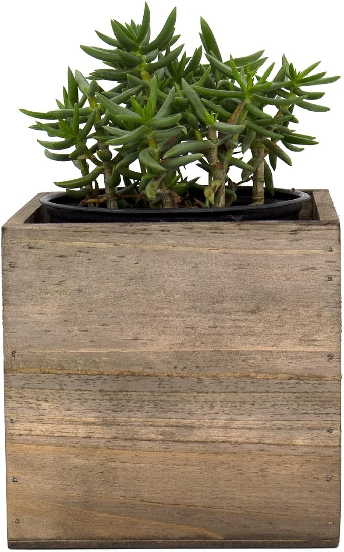 CYS EXCEL Cube Planter Box - Image 5