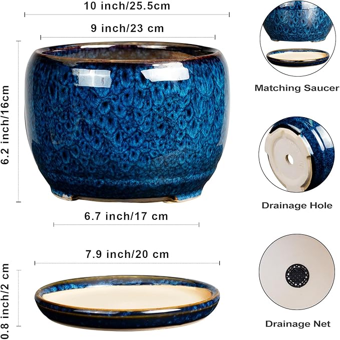 SQOWL 10 Inch Plant Pot - Image 3