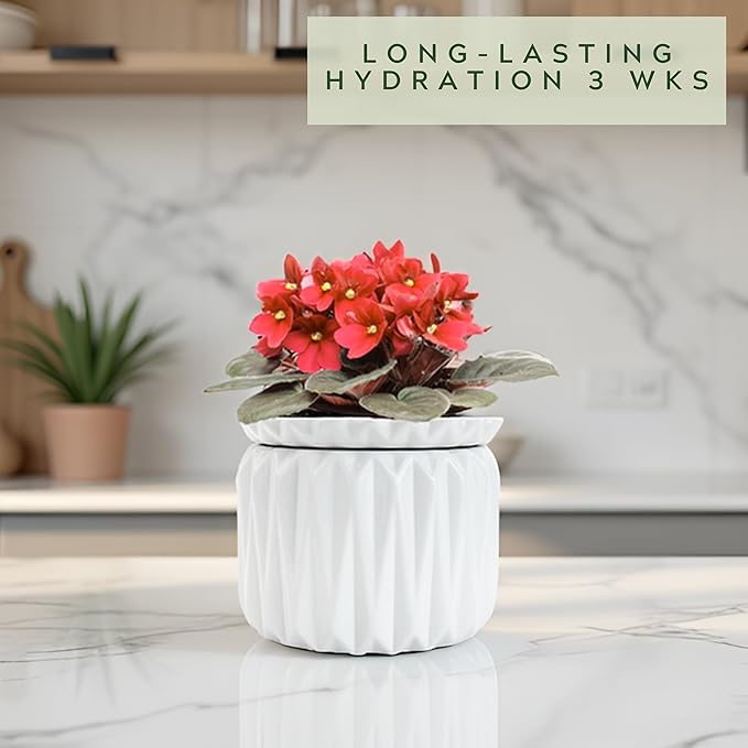 6 Inch African Violet Pots Self Watering, Ceramic Planter - Image 5