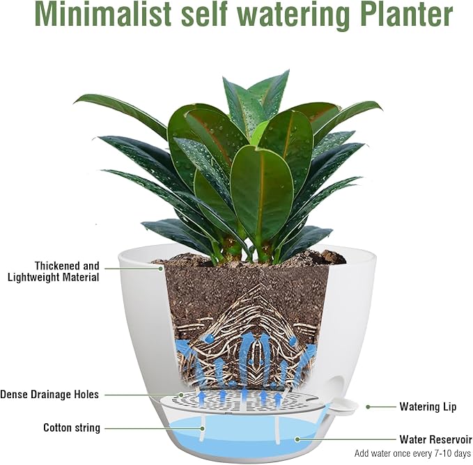 12 inch Large Self Watering Pots - Image 4