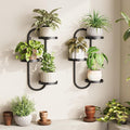 Window Plant Shelves Indoor Outdoor Wall Planters by Laposso