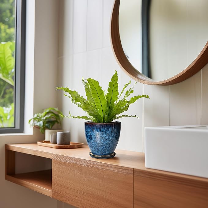 6 Inch Plant Pot - Image 7
