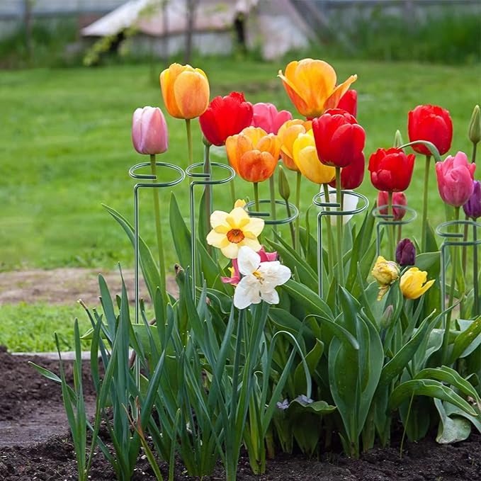 36 Inch 12 Packs Plant Support Stakes, Garden Single stemmed Plant Support Hoops - Image 8