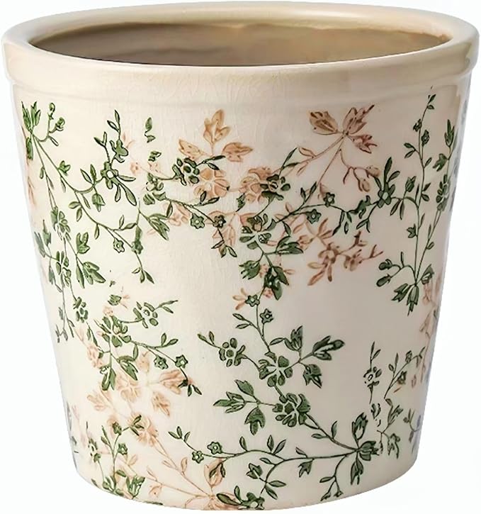 Ceramic Planter with Drainage Hole, Plastic Tray & Mesh, 6.7 Inch by TEWEIQI