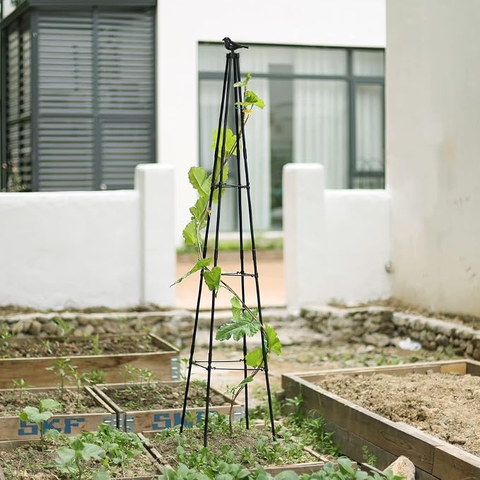Cucumber Trellis, 2 Pack - Image 7