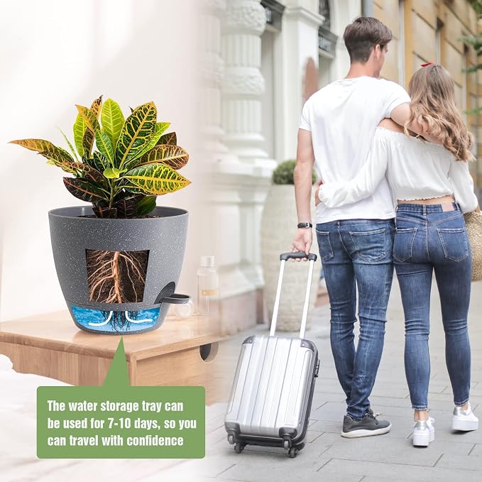 Large Self Watering Pots, 12/10/9 Plastic Planters - Image 5