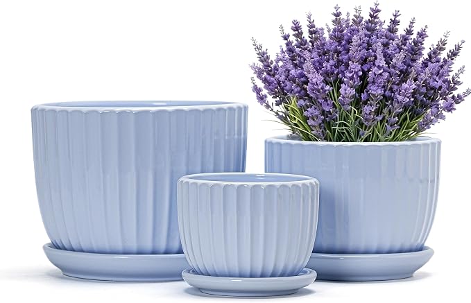 Ton Sin Sky Blue Ceramic Flower Pots, Modern Indoor Decorative Plant Pots Set by TonSin
