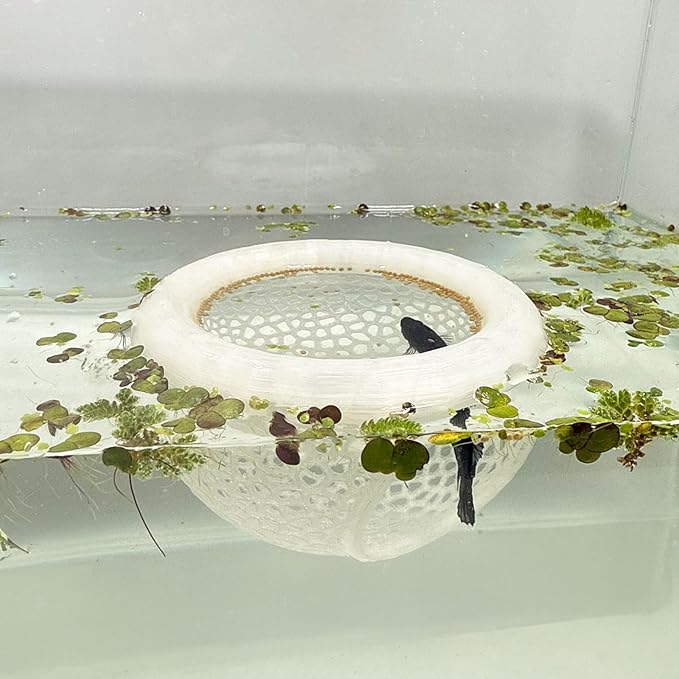 Aquarium Floating Betta Fish Skins, Betta or Shrimp Feeder, Cave and Hammock by HOZOE