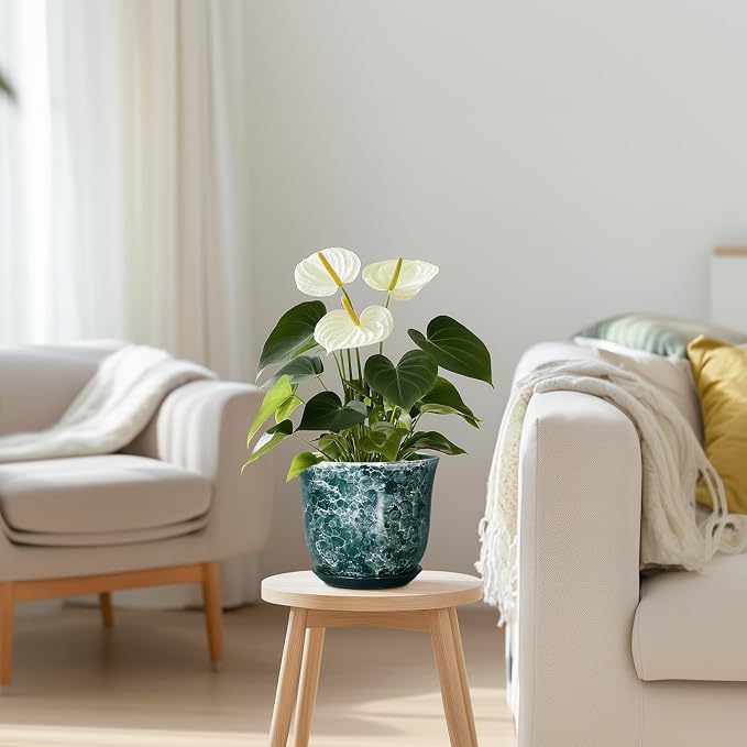 Ceramic Pots for Plants - Image 7