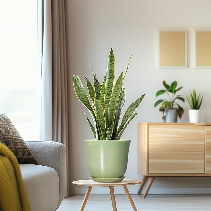 Ceramic Flower Pots - Image 5