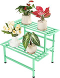 Metal Plant Stand Outdoor Plant Shelf Indoor, 2 Tier Heavy Duty Ladder Plant by Dipion