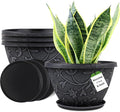 4 Pack 8 Inch Flower Pots for Outdoor Indoor, Plastic Plant Pots by Nooulap