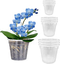Orchid Pot, 3 Each of 4.3", 6.1" Orchid Pots by HOLANHING