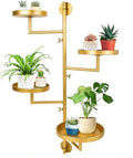 Rotating Window Plant Shelves by Unknown