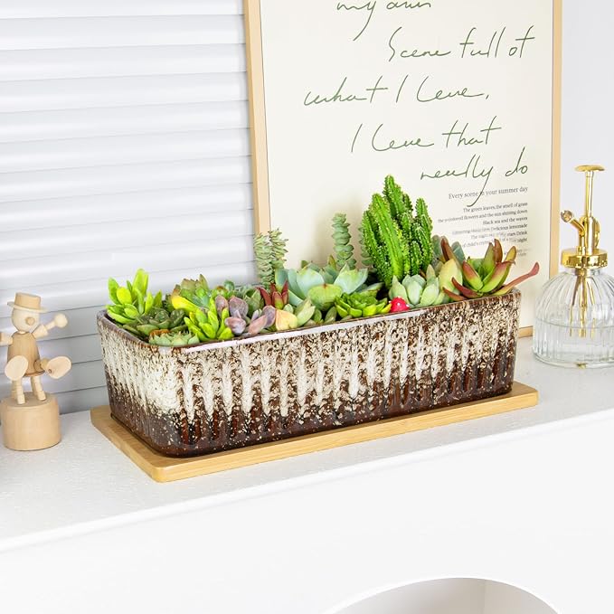 Succulent Pots - 12 Inch Large Succulent Planters - Image 4