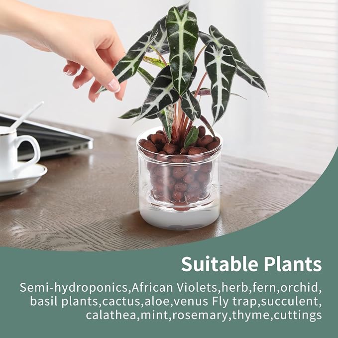 4 Inch Self Watering Pot, African Violet Pot, Bottom Watering Glass Planter - Image 7