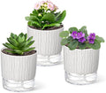 3 Pack Self Watering Pots Set, 4 Inch Self Watering Pots by Unknown