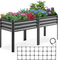KING BIRD Raised Garden Bed by KINGBIRD