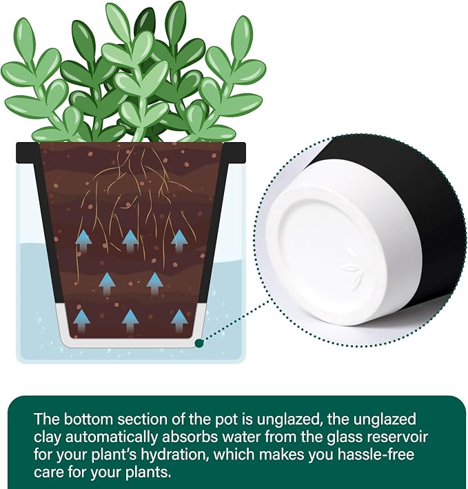 D'vine Dev 4 Inch Design Self Watering Planter - Image 6